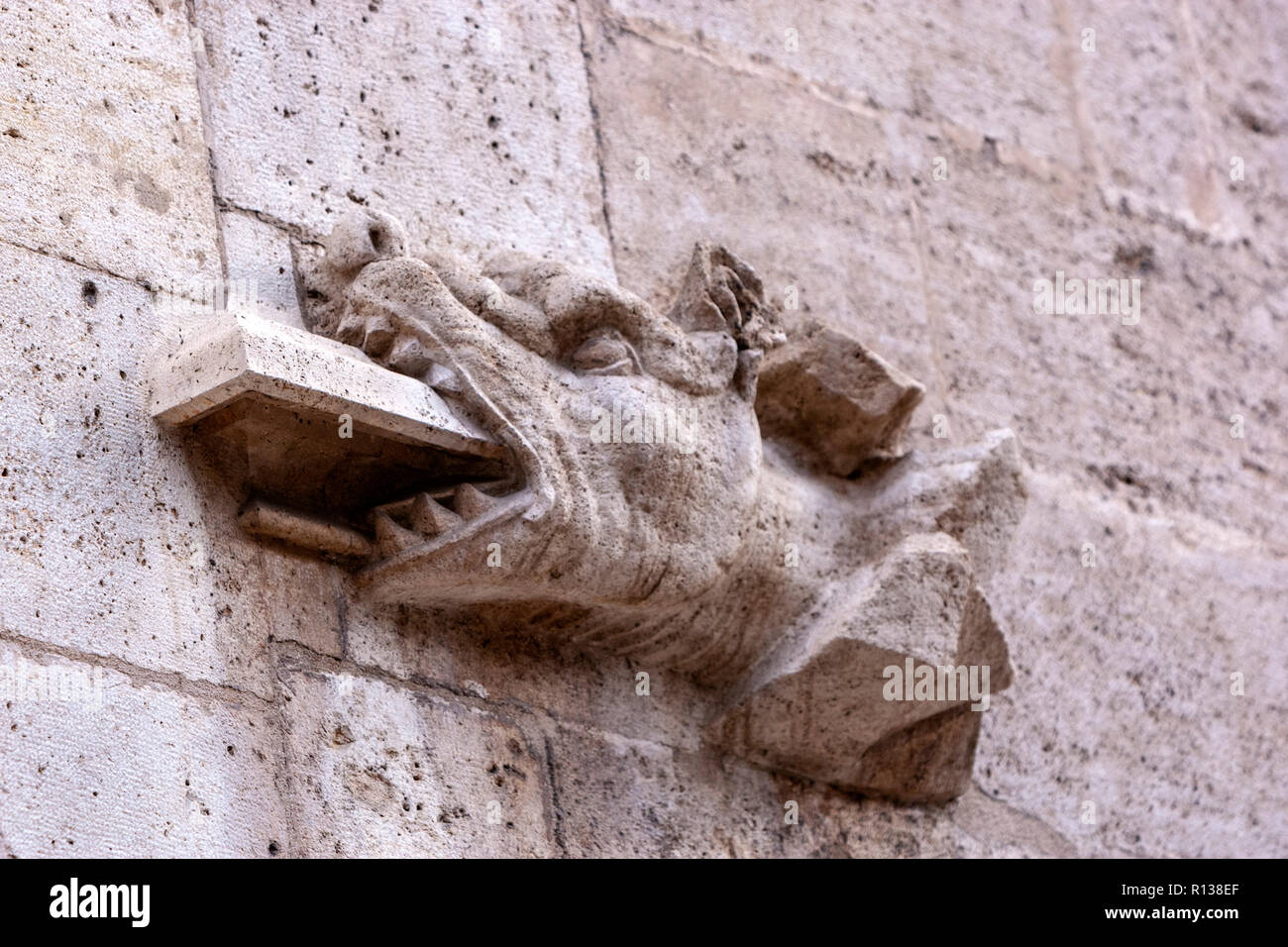 Skulpturen Details aus der Hintertür des La Lonja, die llotja de la Seda oder die La Lonja Seide Austausch Valencia, Spanien Stockfoto