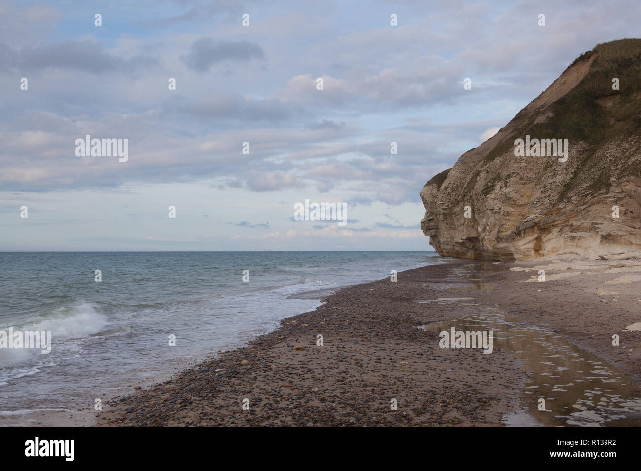 Bulbjerg ist ein Kalkstein Klippe in Nordjütland, Dänemark, mit Blick auf das Meer von Skagerrak. Es ist das einzige Felsformation in Jütland und der einzige Vogel cl Stockfoto