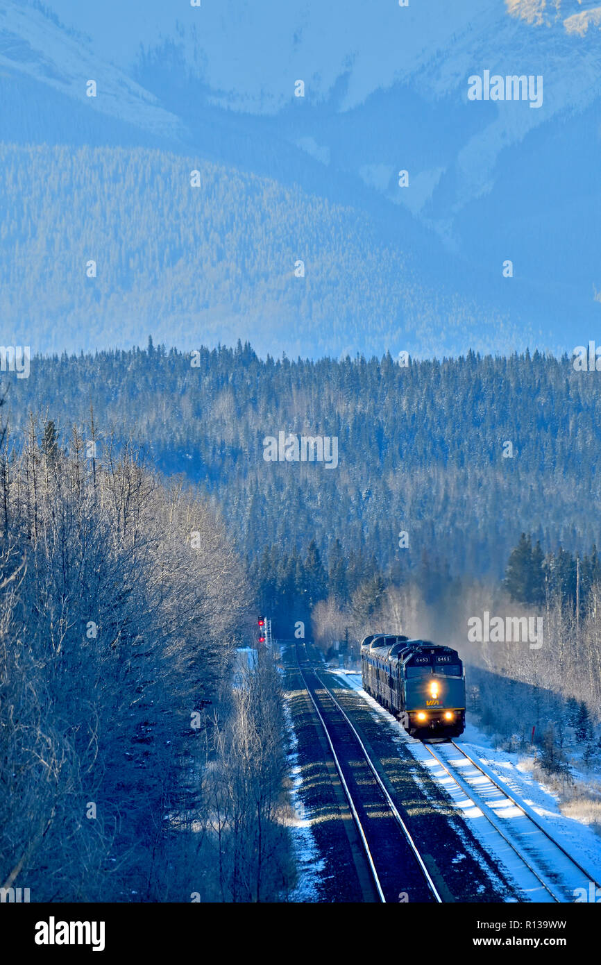 Eine vertikale Bild eines Via Rail Passenger Train zu einem ländlichen Abstellgleis in der Nähe von Hinton Alberta Kanada wartet. Stockfoto