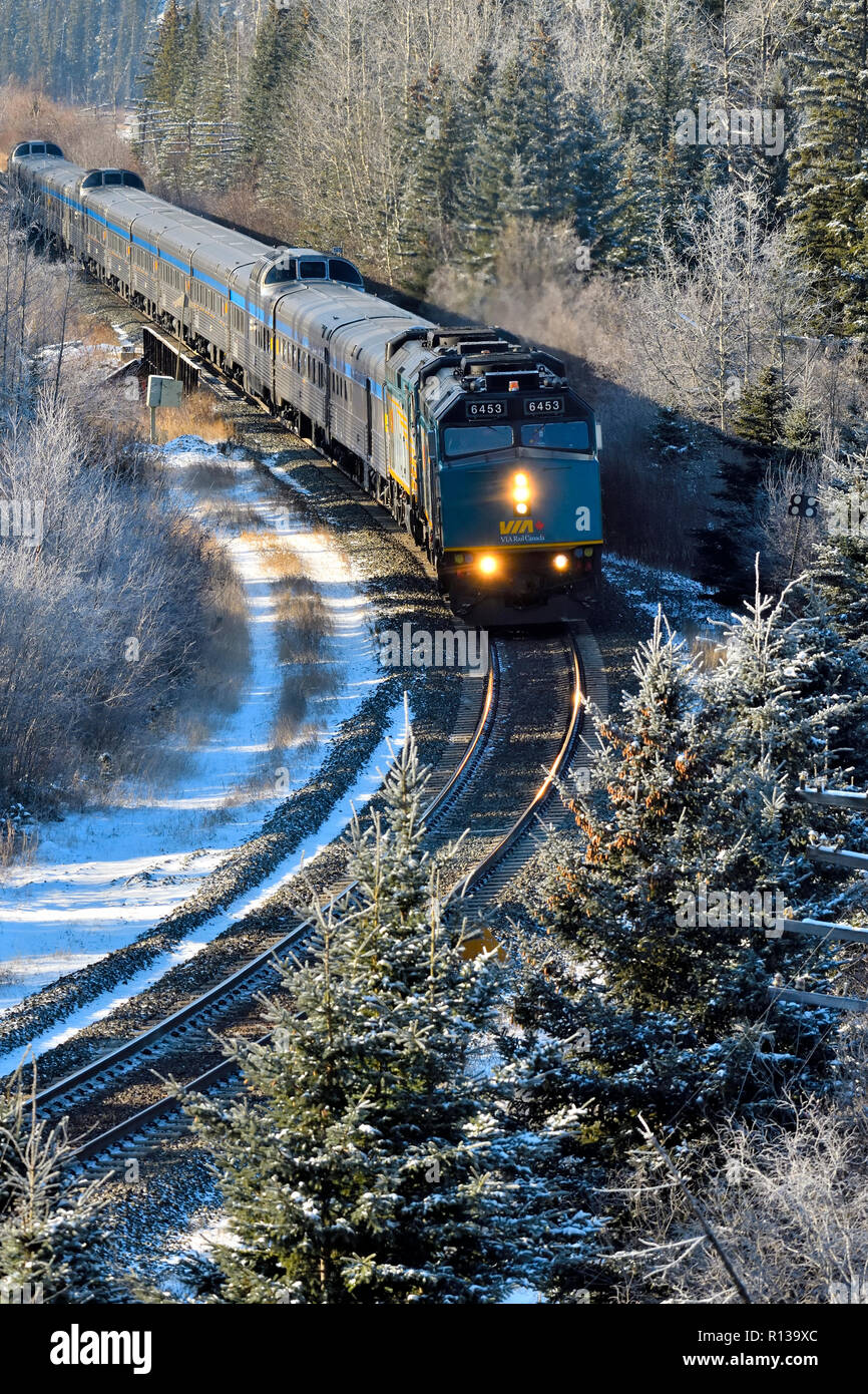 Eine Via Rail Passenger Train reisen um eine Kurve auf einer Bahnstrecke in den Ausläufern der Rocky Mountains in der Nähe von Hinton Alberta, Kanada. Stockfoto