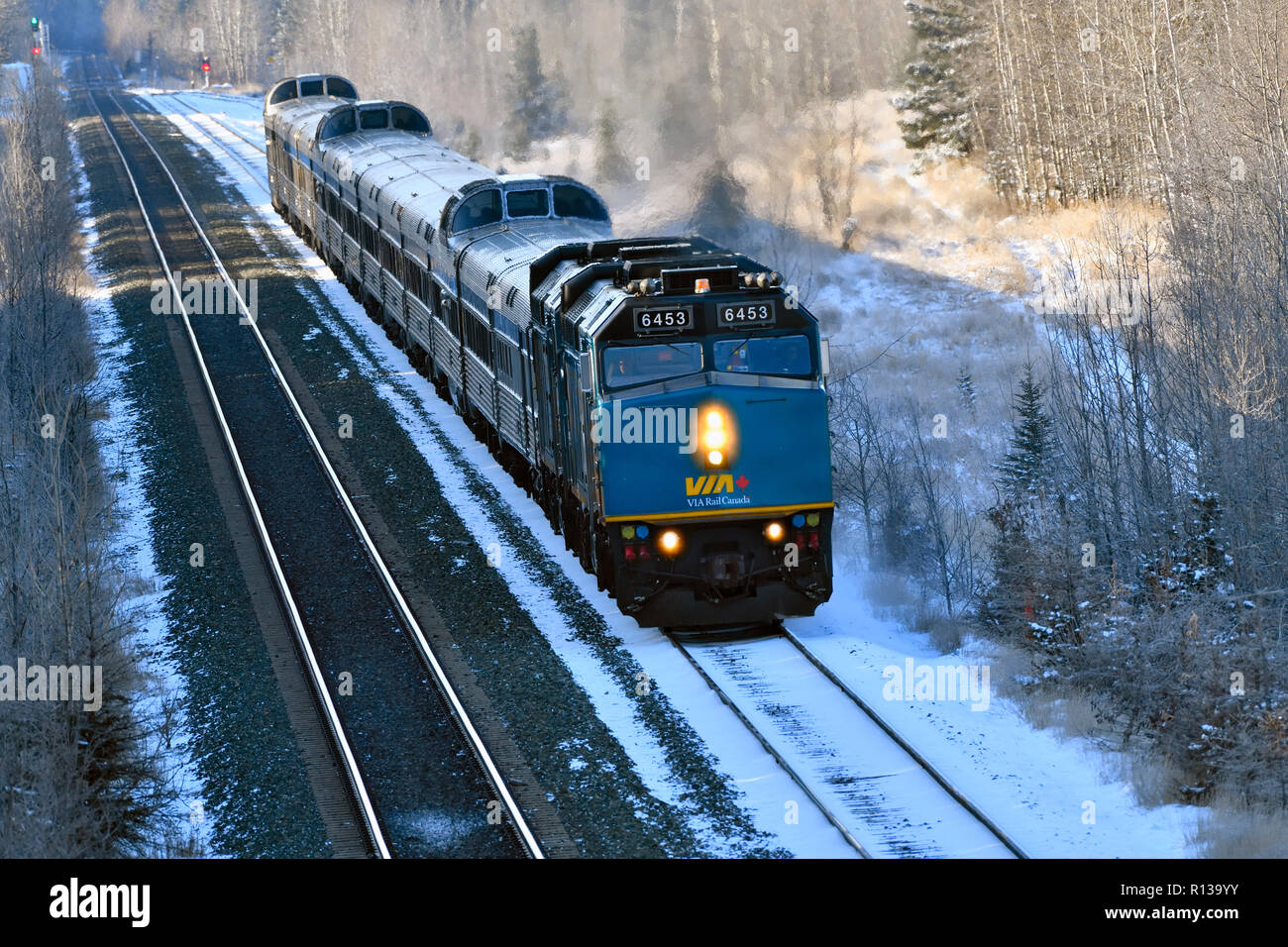 Eine Via Rail Passenger Train zu einem ländlichen Abstellgleis in der Nähe von Hinton Alberta Kanada wartet. Stockfoto