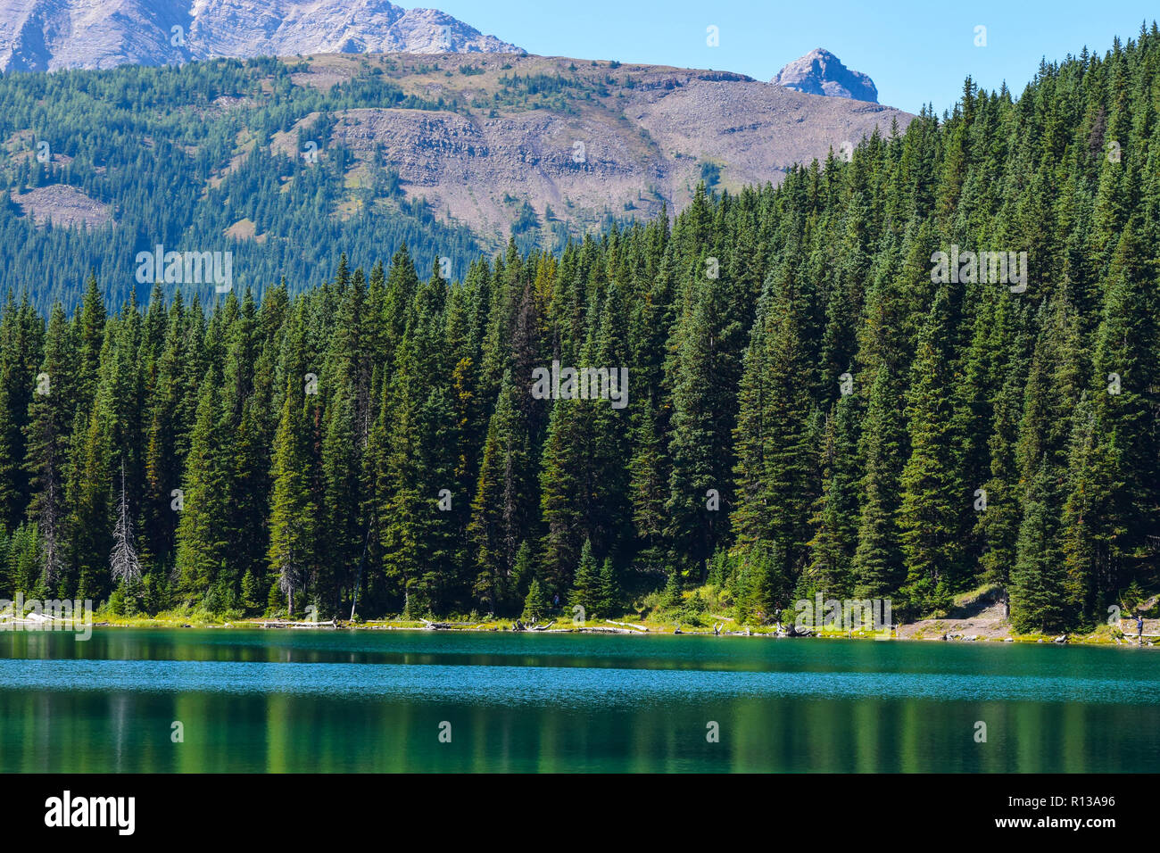 Sommer Landschaft auf einem der vielen Wanderwege in Kananaskis Country, Alberta, Kanada Stockfoto