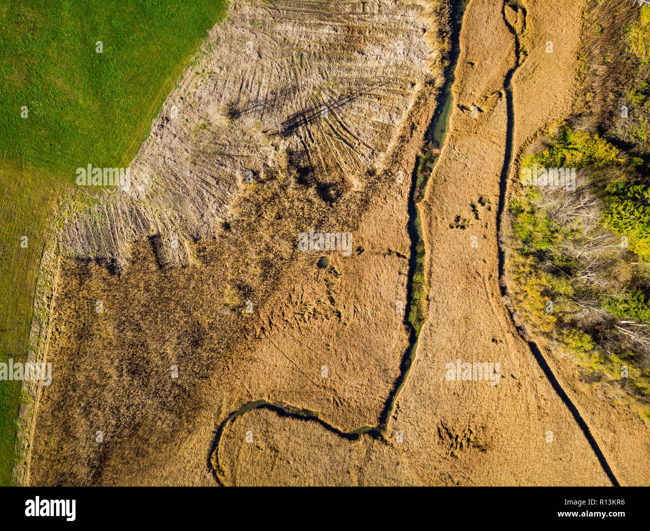Herbst Trockenrasen im Naturschutzgebiet Zelenci, Slowenien. Antenne Drohne von oben nach unten anzeigen. Stockfoto