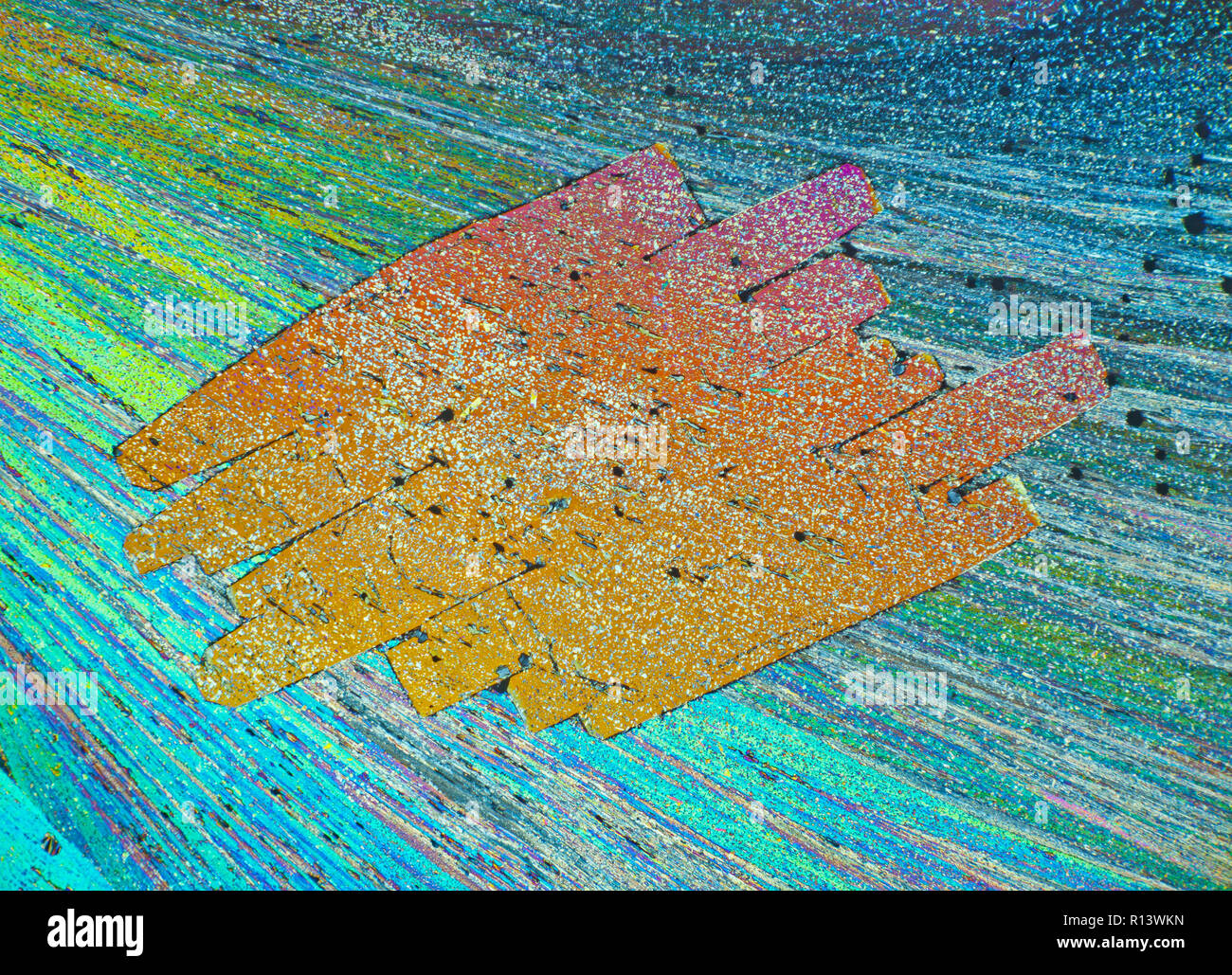 Resorcin und Harnstoff Folie schmelzen, polarisiert photomicrograph Stockfoto
