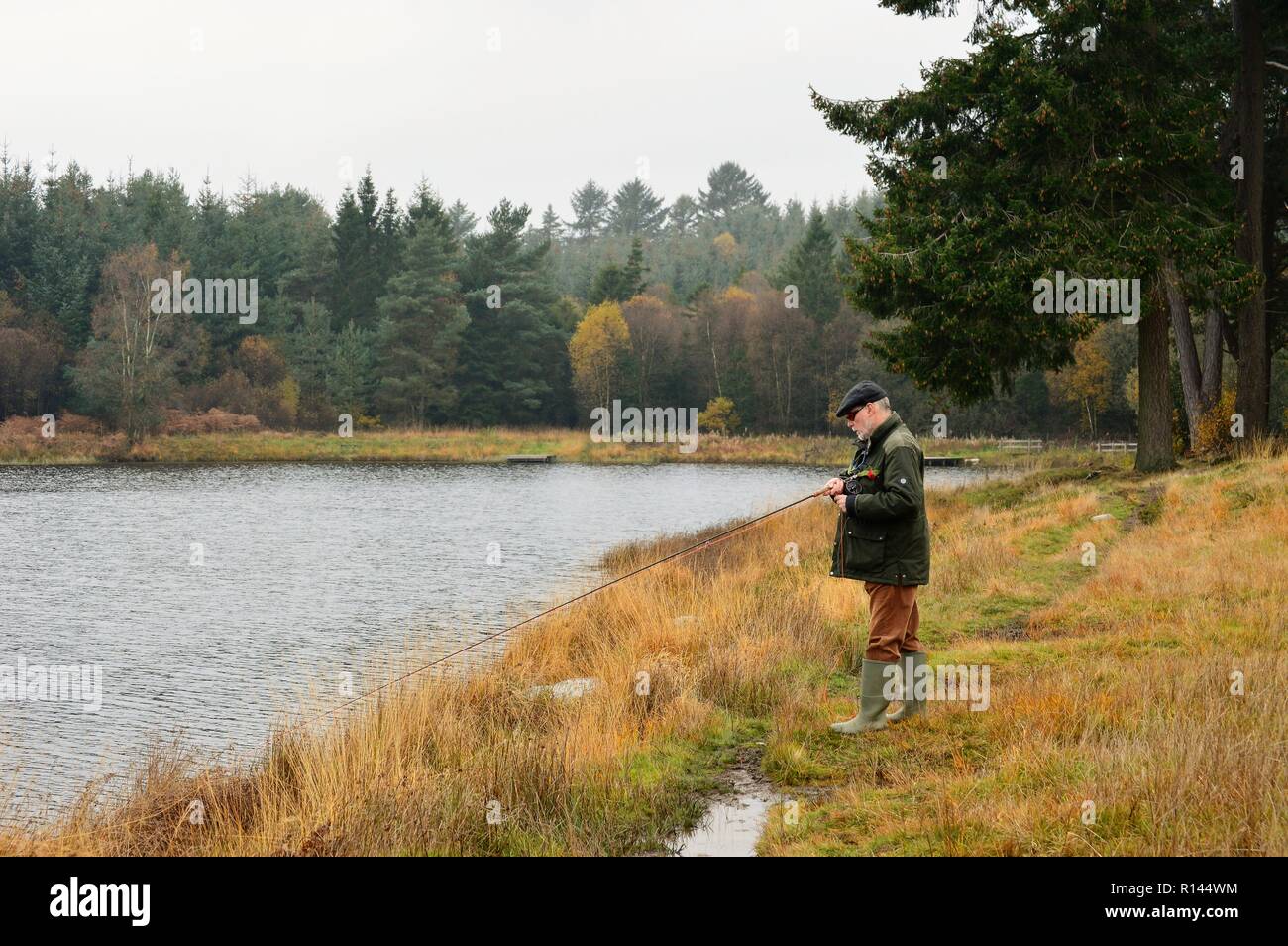 Herbst Farben bei Llyngwyn mit Fischer Stockfoto