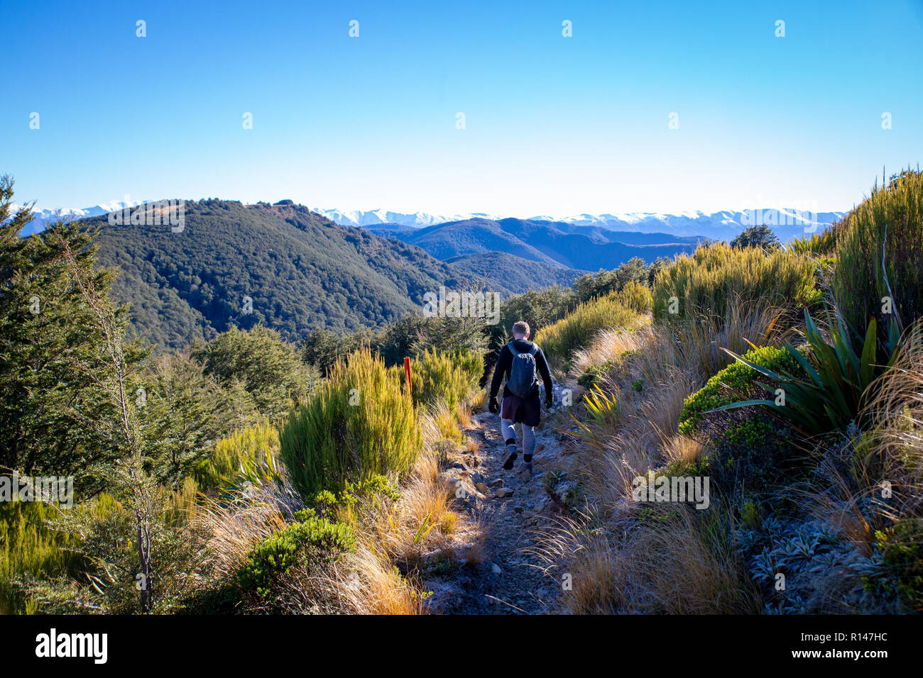 Ein Mann im Freien genießen Wanderungen auf einem Hügel Spur in den Bergen in Neuseeland Stockfoto