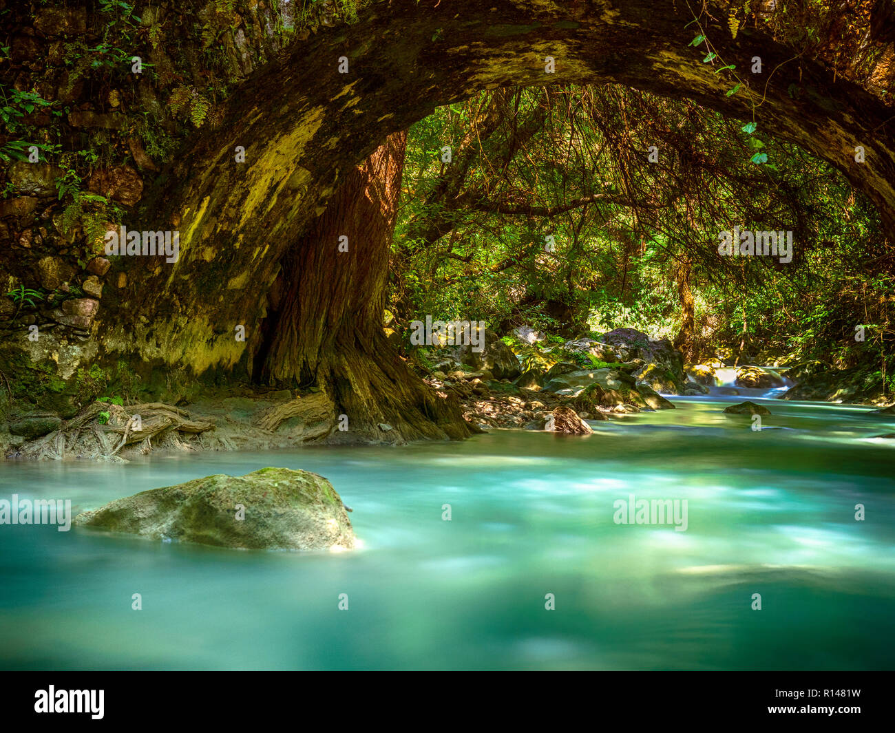 Schöne türkisblaue Fluss unterhalb einer Brücke aus Stein in der Nähe von Taxco, Mexiko mit hellen Laub und versenkt Felsen Stockfoto