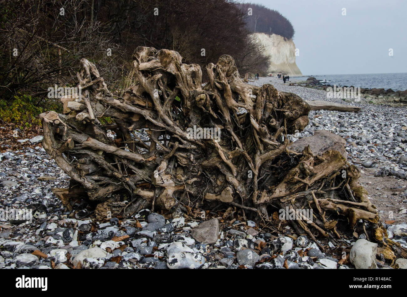 Rügen ist eine Insel, die nur aus der pommerschen Ostseeküste und ist die größte Insel in Deutschland mit mehr als 900 quadrat Km. Stockfoto