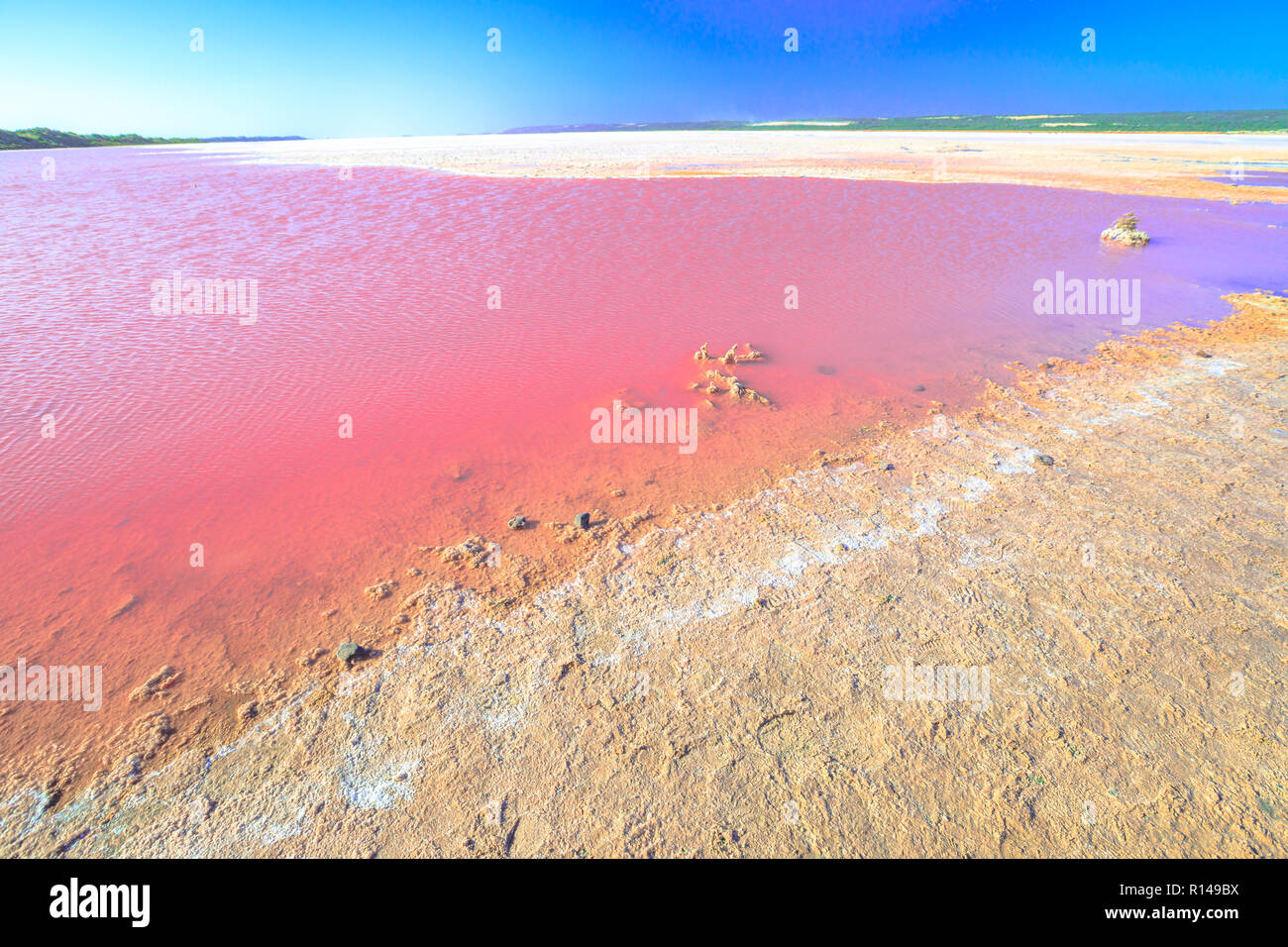 Pink Salt Lake an Gregor in Western Australia. Malerische Ufer des Hutt Lagoon zwischen Geraldton und Kalbarri, mit einem lebhaften Rosa Farbe, die für die Präsenz von Algen im Sommer. Horizont blauer Himmel mit Kopie Raum Stockfoto