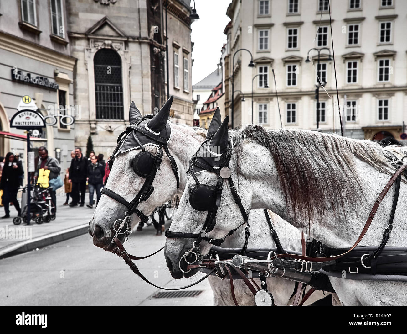 Wien, Österreich - November 1, 2018-Shot von zwei Pferden von einem Wagen in Stephansplatz in Wien. Leute gehen um einkaufen zu gehen und besuchen Sie t Stockfoto