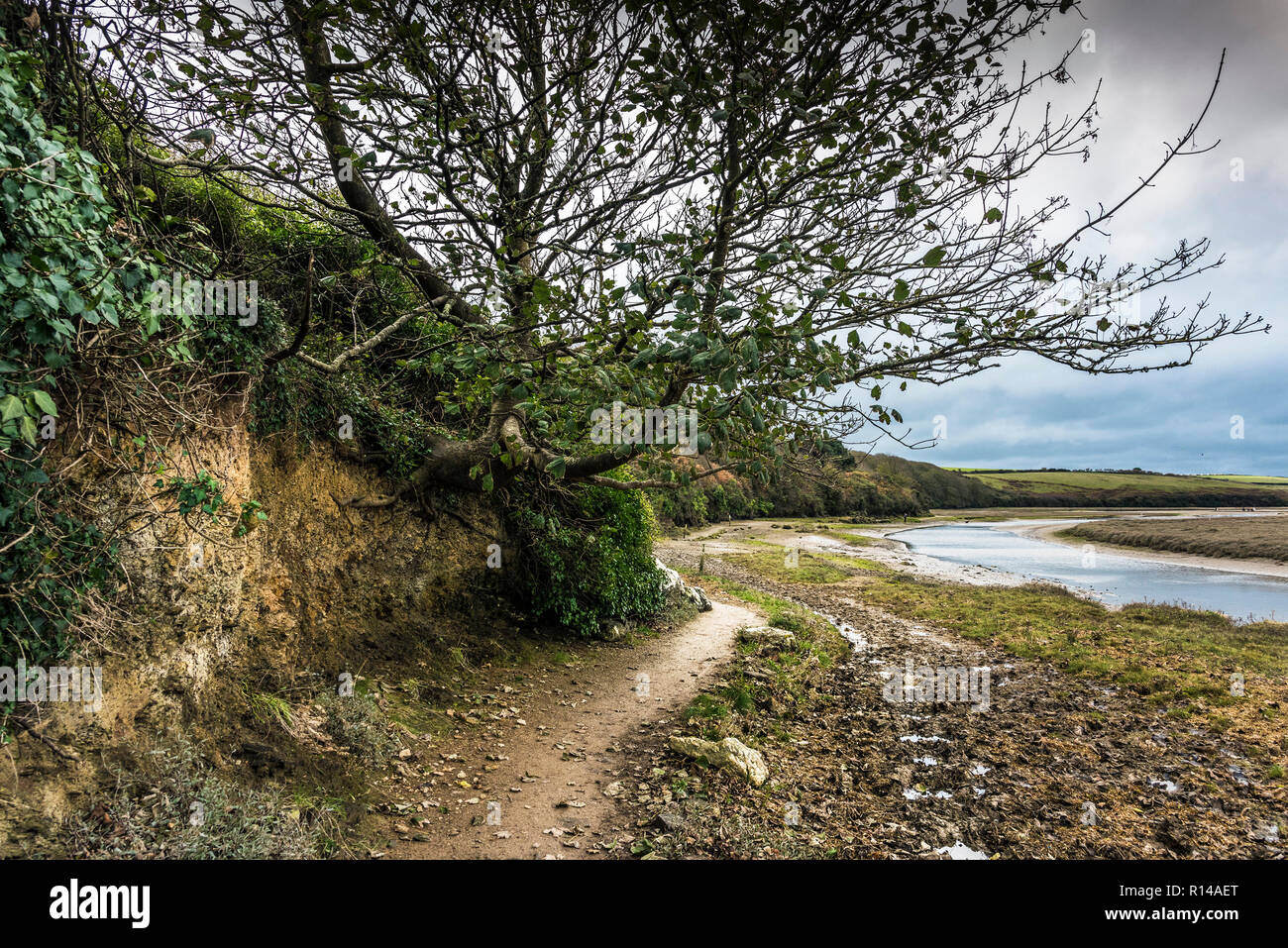 Die penpol Wanderweg Reitweg reitweg am Ufer des Fluss Gannel in Newquay in Cornwall. Stockfoto