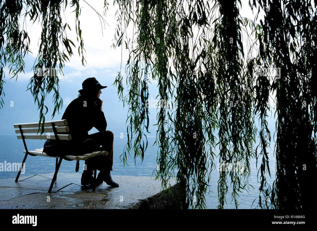 Frau mit Hut sitzt unter einer Trauerweide Baum entlang der Seite der See, Chiemsee, Oberbayern, Deutschland Stockfoto