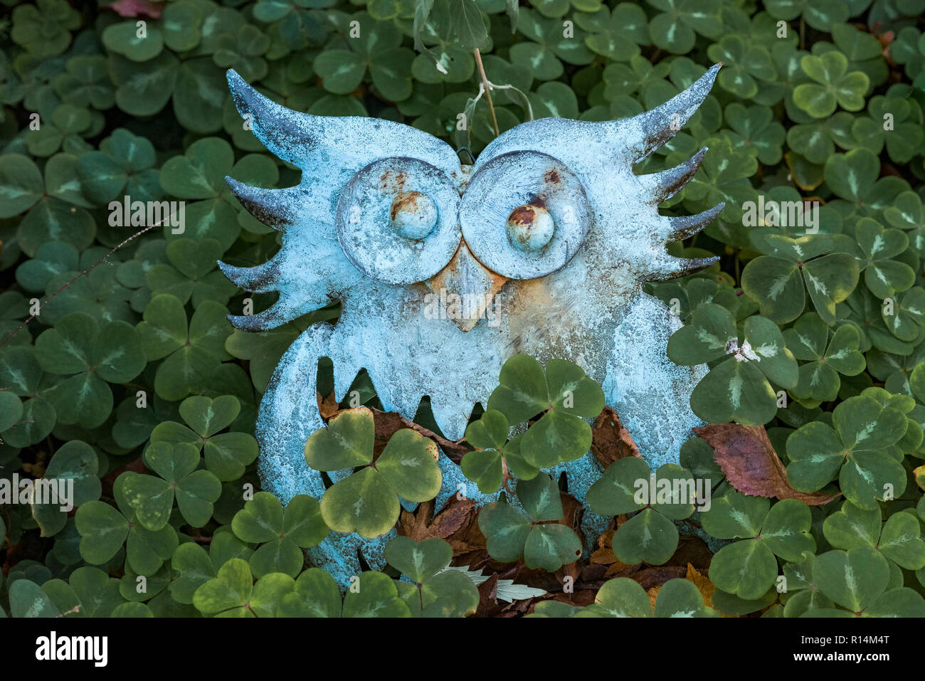 Metall Eule, Garten Ornament, Oxalis Blätter, Stockfoto