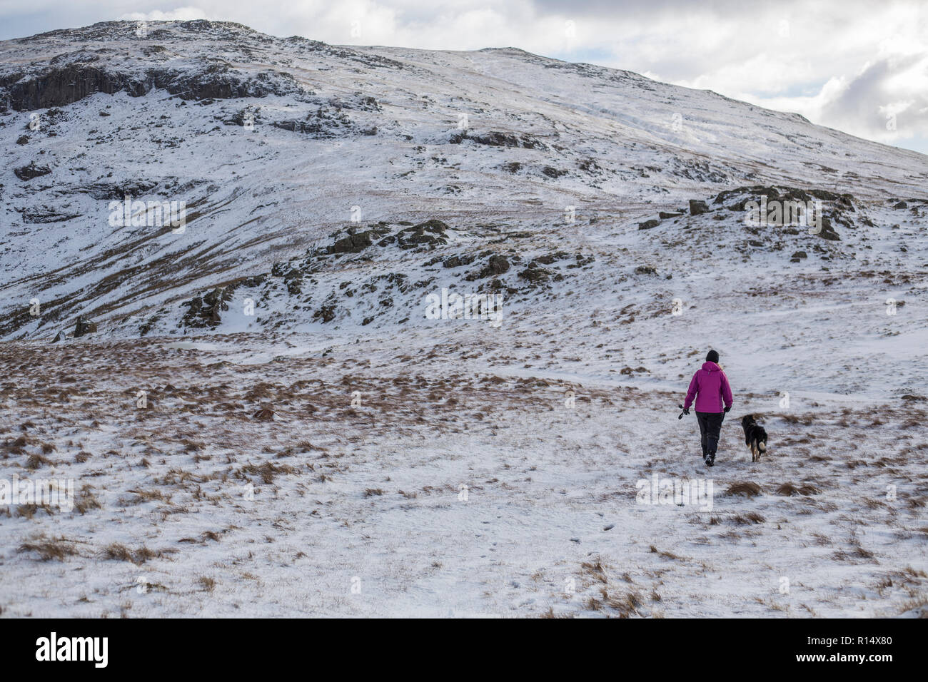 Eine dreifarbige Border Collie neben seinem Besitzer, der Weg, einen schneebedeckten Berg in den See Bezirk Leitung Stockfoto