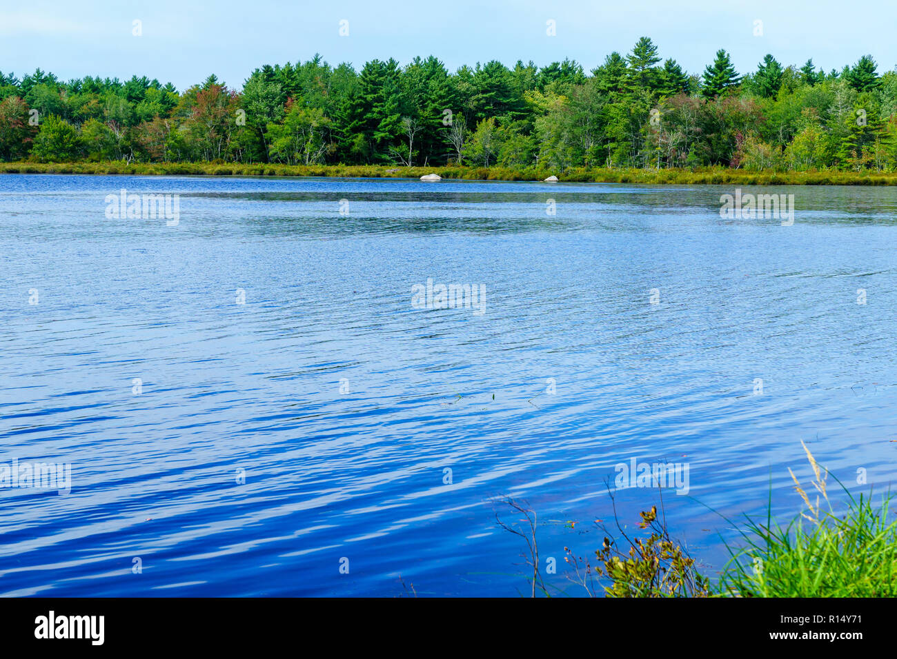 Blick auf die Schlange See, Kejimkujik National Park, Nova Scotia, Kanada Stockfoto