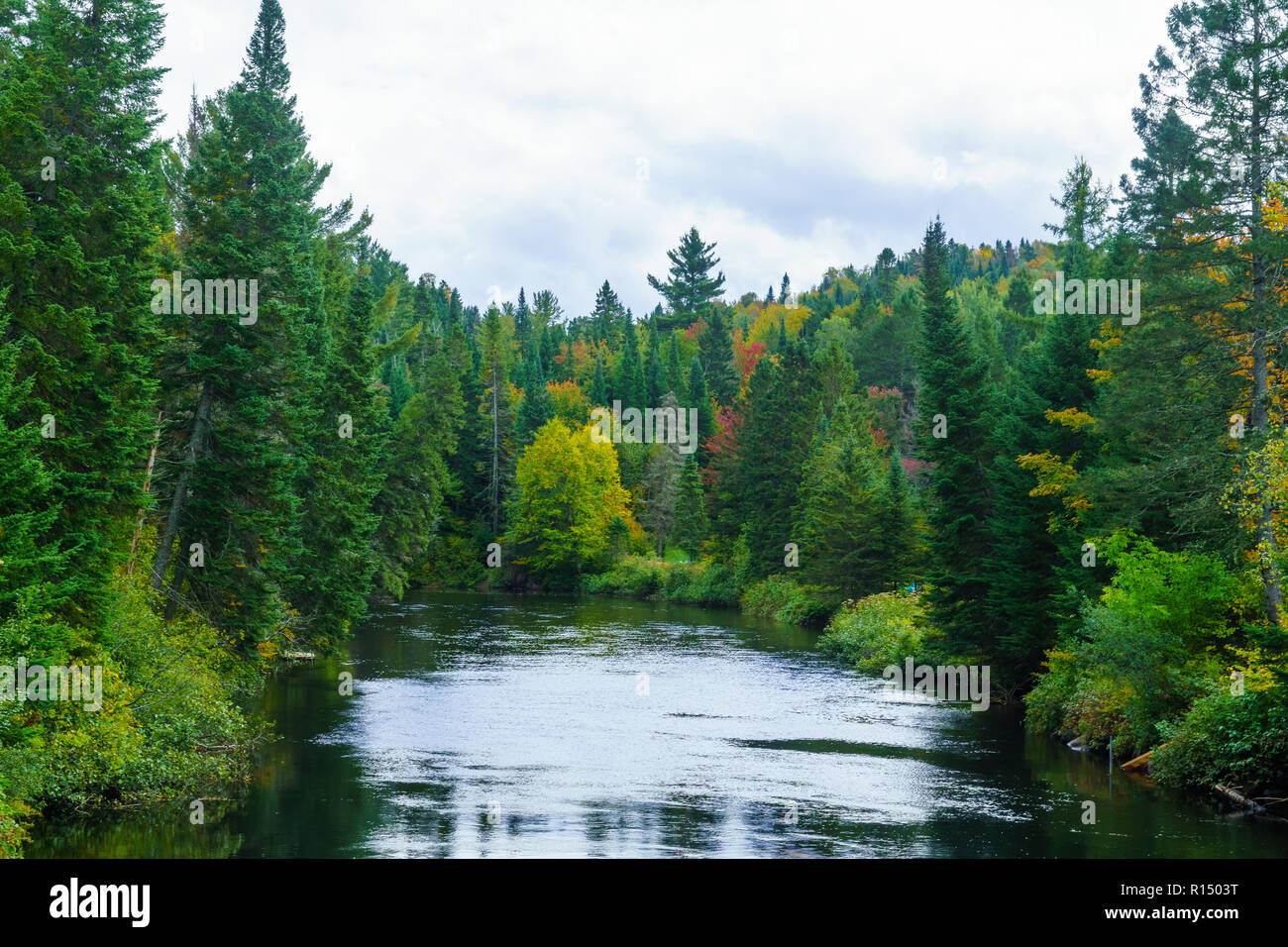 Anzeigen von Riviere du Nord in Val-David, Laurentian Mountains, Quebec, Kanada Stockfoto