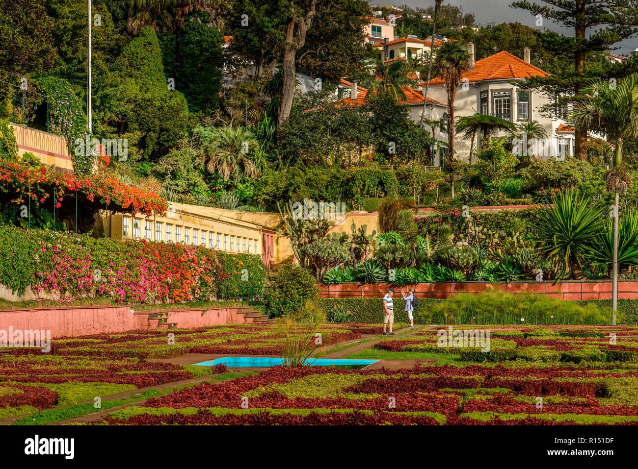 Blumenbeete, Herrenhaus, Botanischer Garten, Funchal, Madeira, Portugal Stockfoto