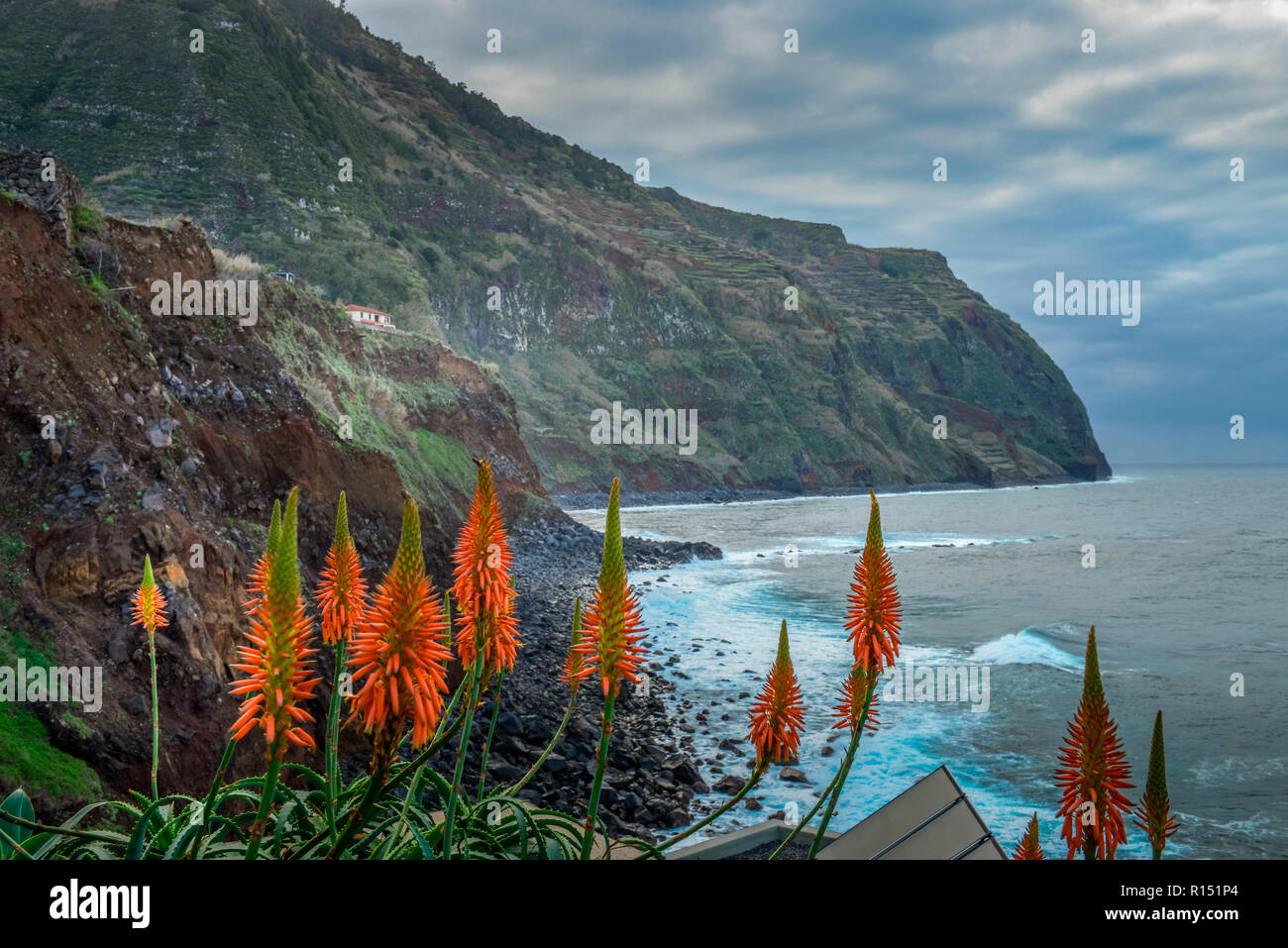 Steilküste, Porto Moniz, Madeira, Portugal Stockfoto