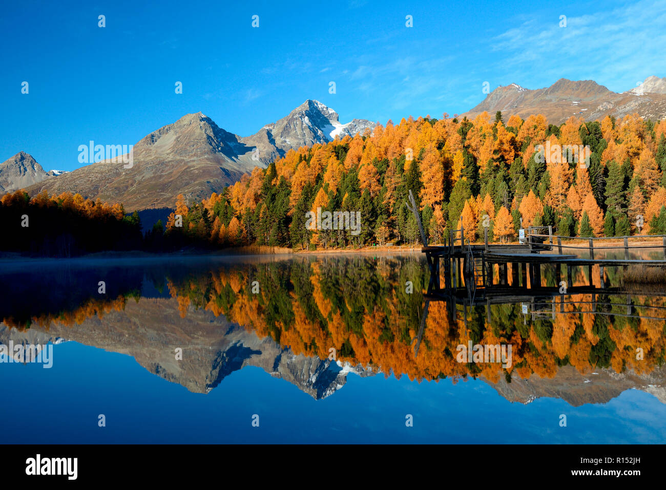 Stazer siehe St. Moritz, Engadin, Oberengadin, Kanton Graubünden, Schweiz, Europa, Lej da Staz Stockfoto