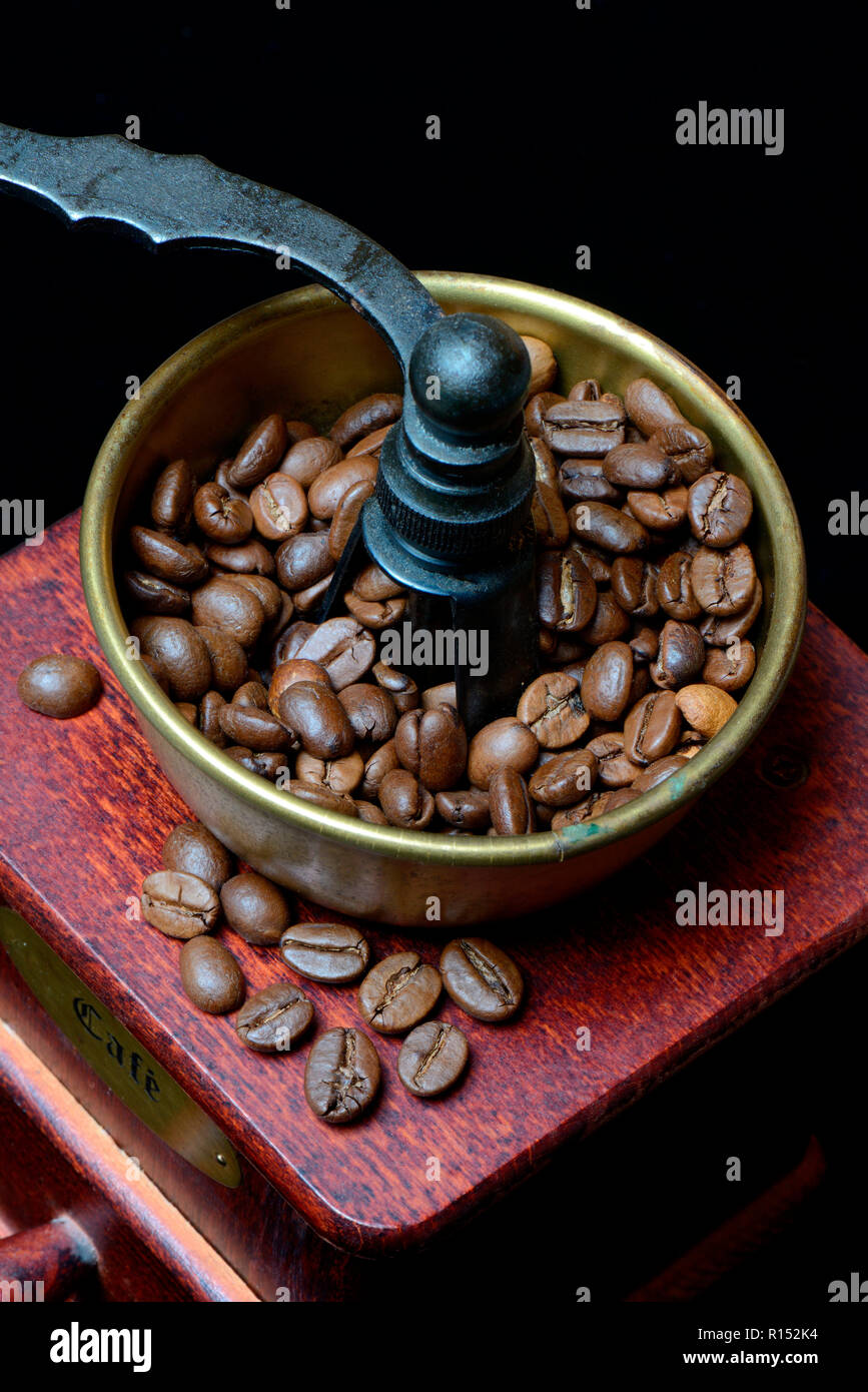 Kaffeebohnen in der Kaffeemühle Stockfoto