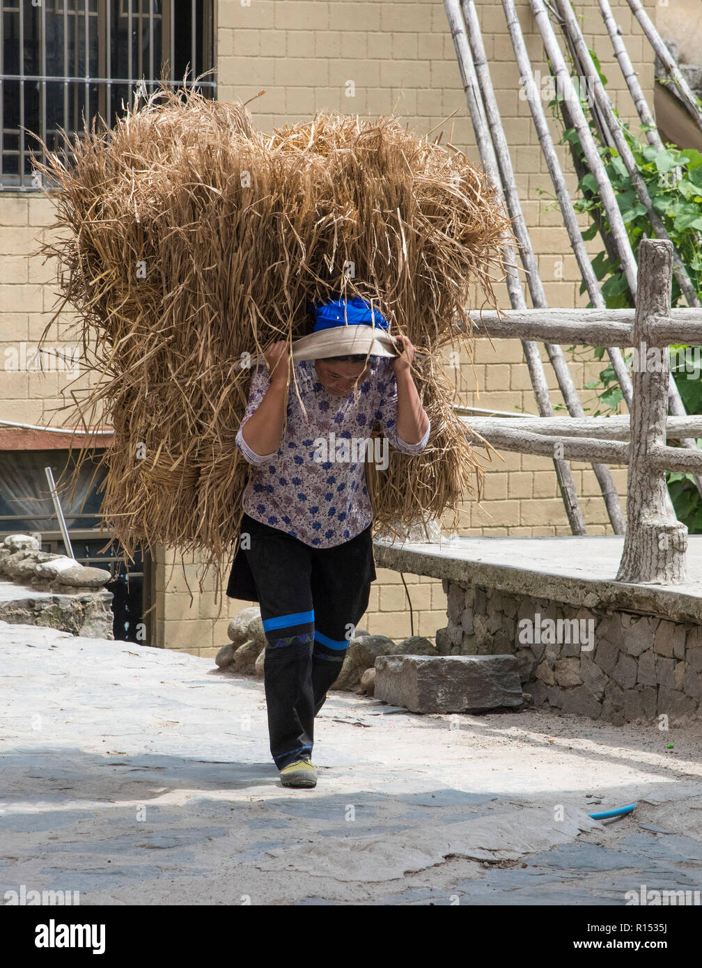 Chinesische ethnische Minderheit Dame über ihr tägliches Leben Tragen schwerer Querhölzer aus Stroh. China Stockfoto