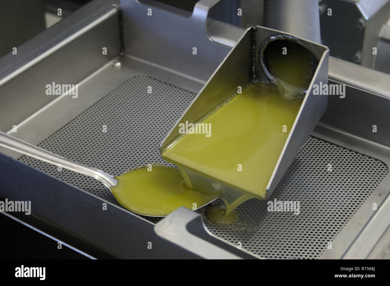 Frisches Olivenöl extra vergine Öl in den Tank an einem kalten Gießen - drücken Sie die Fabrik nach der Olivenernte Stockfoto