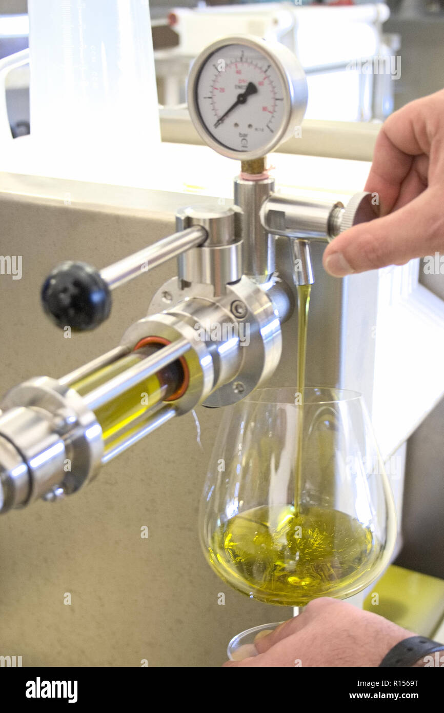 Ökologische extra natives Olivenöl mit moderner Technologie, Absaugung und Filterung, reines Olivenöl in einem Glas Stockfoto