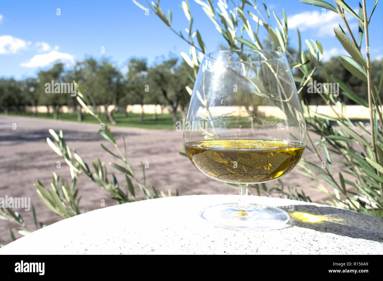 Glas natives Olivenöl extra auf einem alten weißen Mill Stone mit Olivenbäumen auf Hintergrund Stockfoto