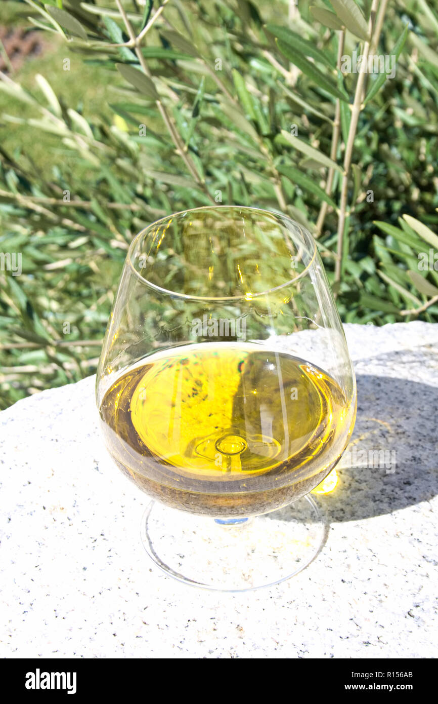 Glas natives Olivenöl extra auf einem alten weißen Mill Stone mit Olivenbäumen auf Hintergrund Stockfoto