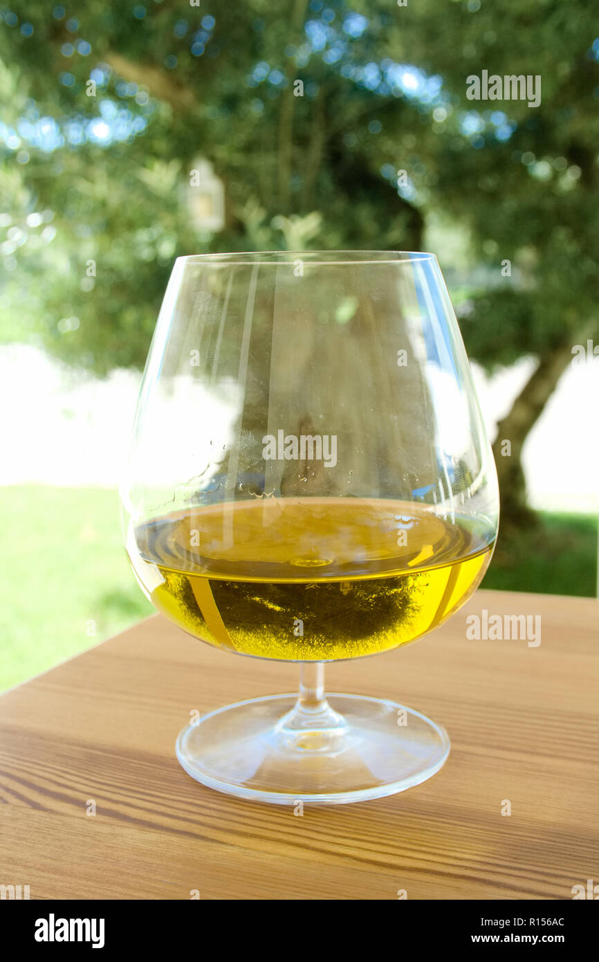 Glas extra natives Olivenöl auf dem Holztisch mit Olivenbäumen auf Hintergrund Stockfoto