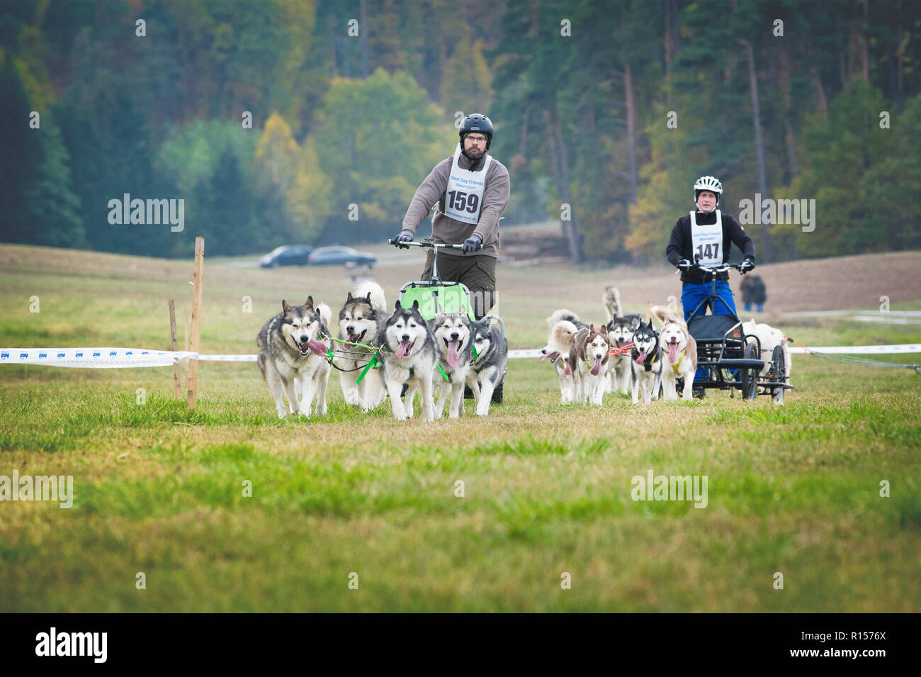 Deutschland, Oberndorf, Geslau - NOVEMBER 3, 2018: Zwei Karren durch die Schlittenhunde, Mushing Off Snow Cross Country Rennen in typischen herbstlichen Wetter gezogen. Laut P Stockfoto