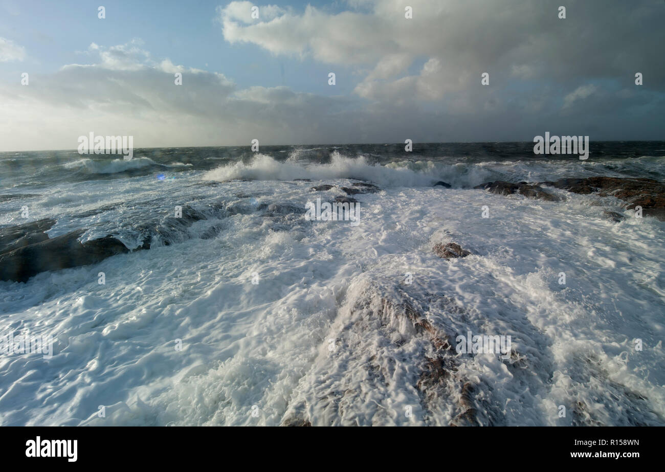 Download Kuesten leben For Android