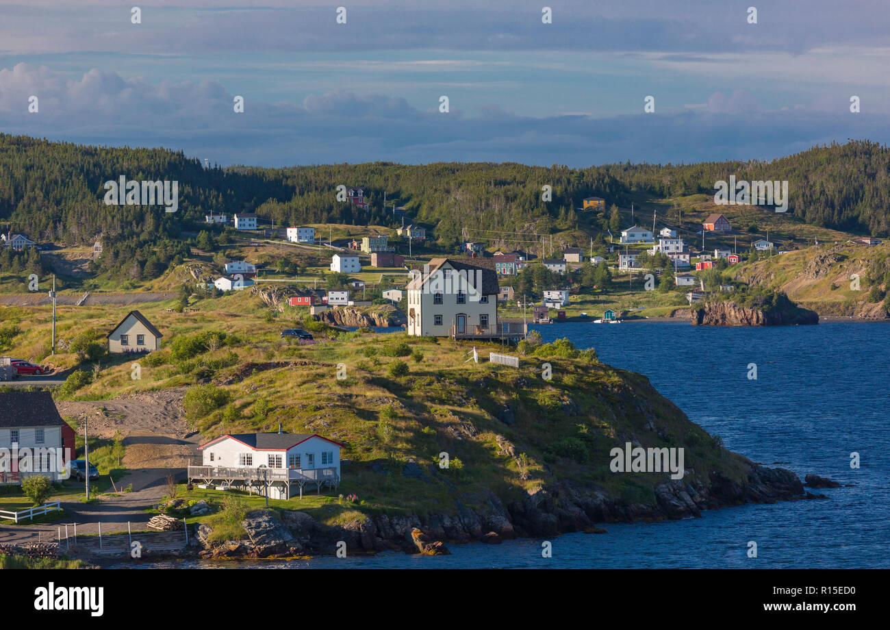 Dreifaltigkeit, Neufundland, Kanada - Häuser mit Blick auf den Hafen in der kleinen Küstenstadt Dreifaltigkeit. Stockfoto
