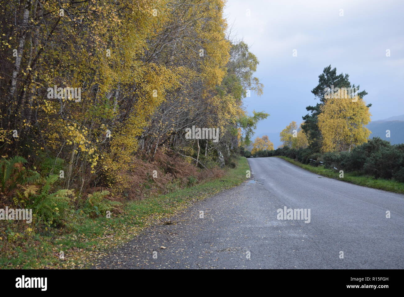 Loch Ness Schottland Stockfoto