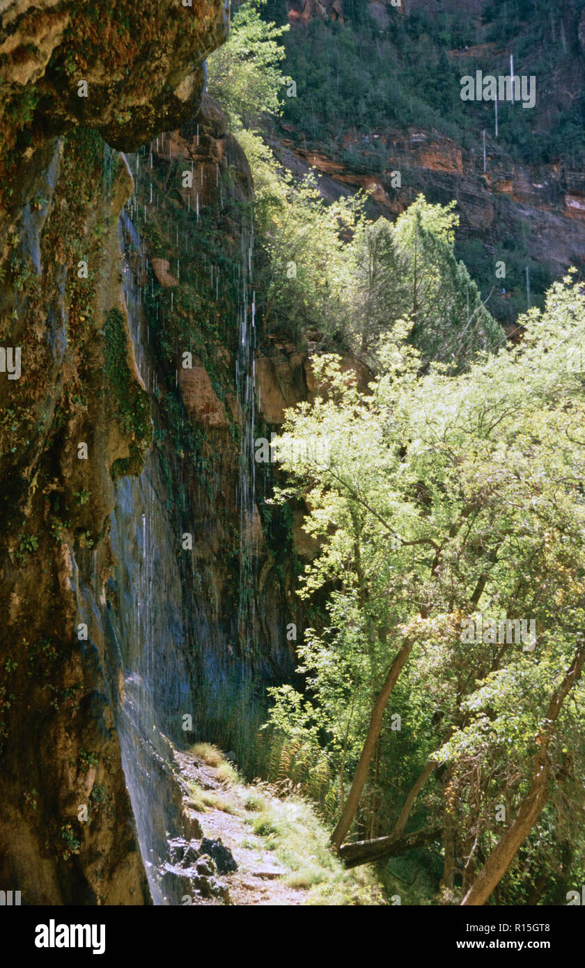 Weeping Rock Trail, Zion National Park, Utah Stockfoto