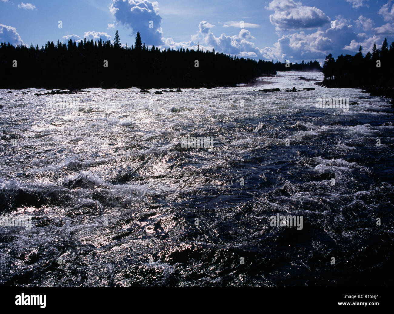 Schweden, Norrbotten, Pitealven Fluss, Blick hinauf finden Sie Storforsen Stromschnellen fünfundzwanzig Meilen nordwestlich von Alusbyn Stadt. Ausdehnung des schnell fließenden Mineralwasser und Silhouette der Baumgrenze. Ein Rückgang von 80 Metern mit einer Geschwindigkeit von 800 000 Litern pro Sekunde über 4 Kilometer. Stockfoto