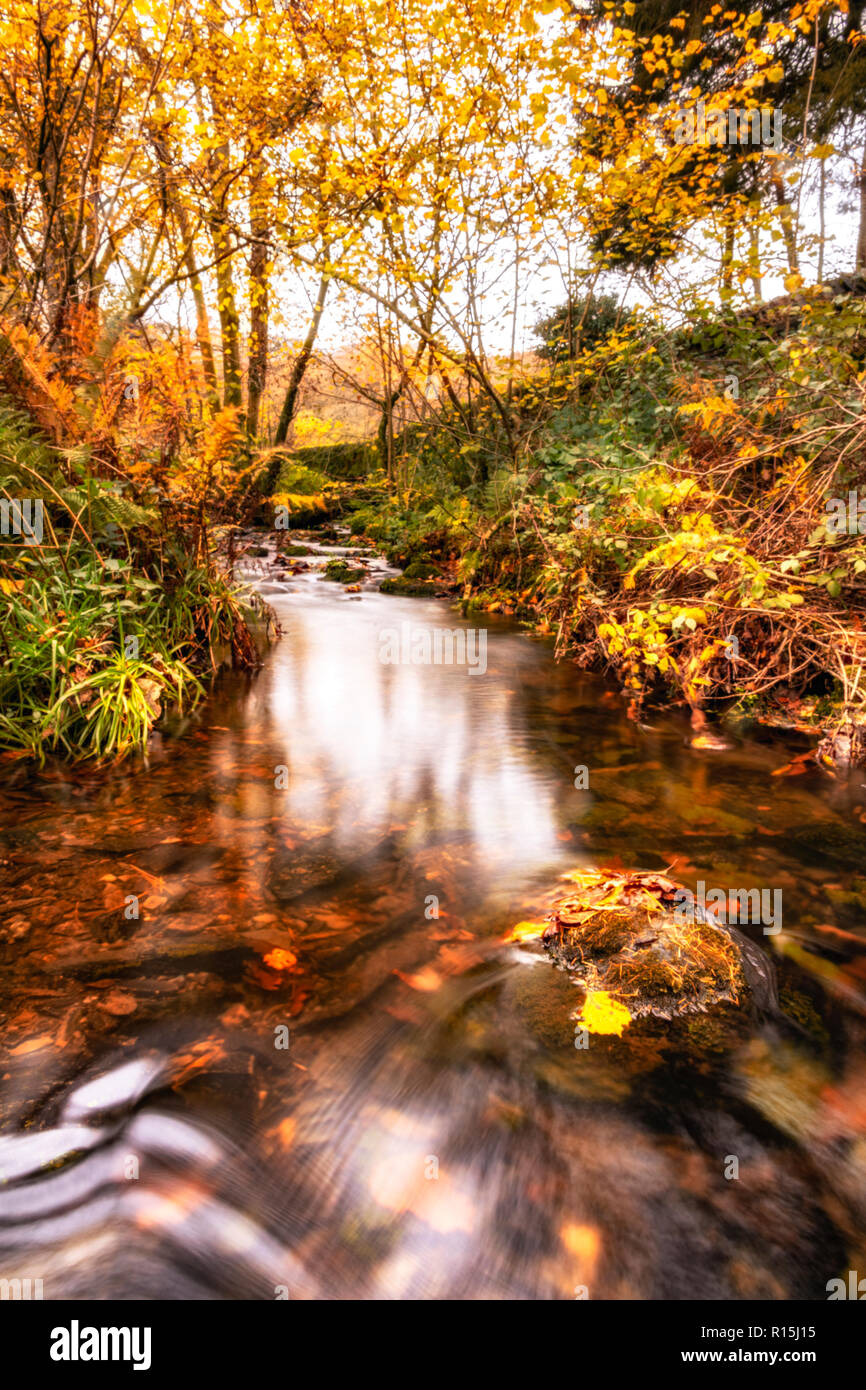 8. November 2018 hielt ich sie an Finsthwaite auf dem Weg nach Hause heute Nachmittag wie der Regen begann sich langsam in Bewegung. Ich war nach dem Wasserfall Stockfoto