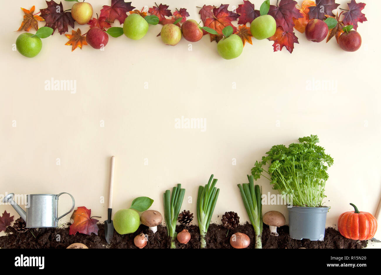 Herbst Früchte wachsen aus Erde patch mit Apple Orchard frame Stockfoto