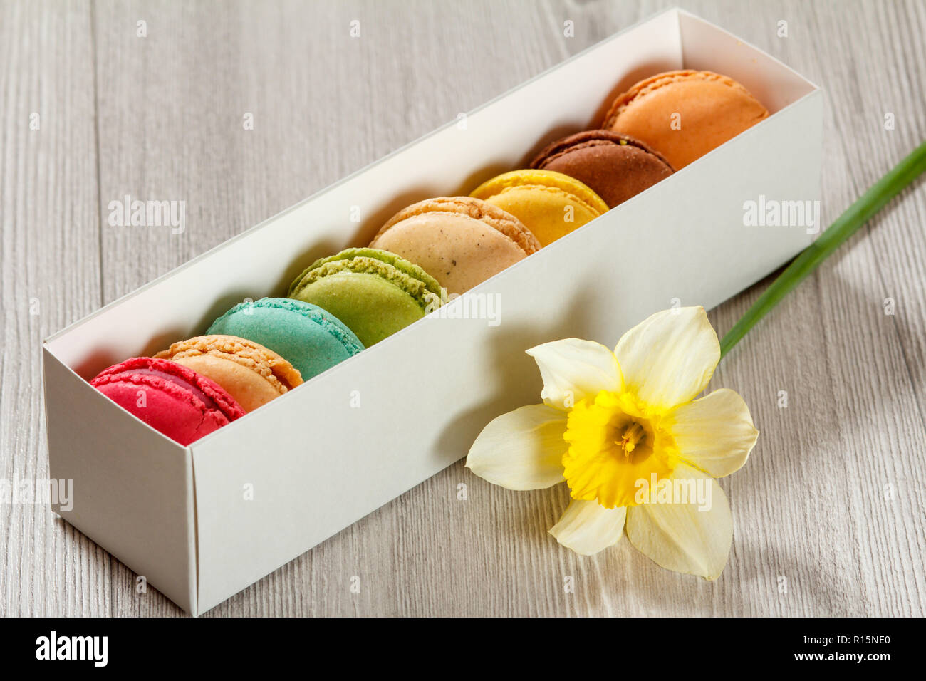 Macarons Kuchen Unterschiedlicher Farbe In Weiss Karton Mit Frischen Gelben Narzisse Blume Auf Grau Holzbrett Stockfotografie Alamy