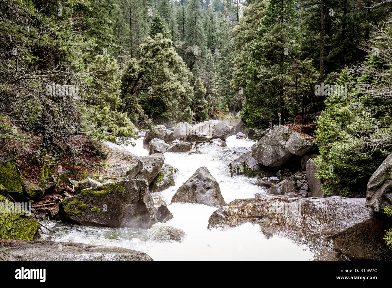 Fluss im Yosemite National Park Stockfoto