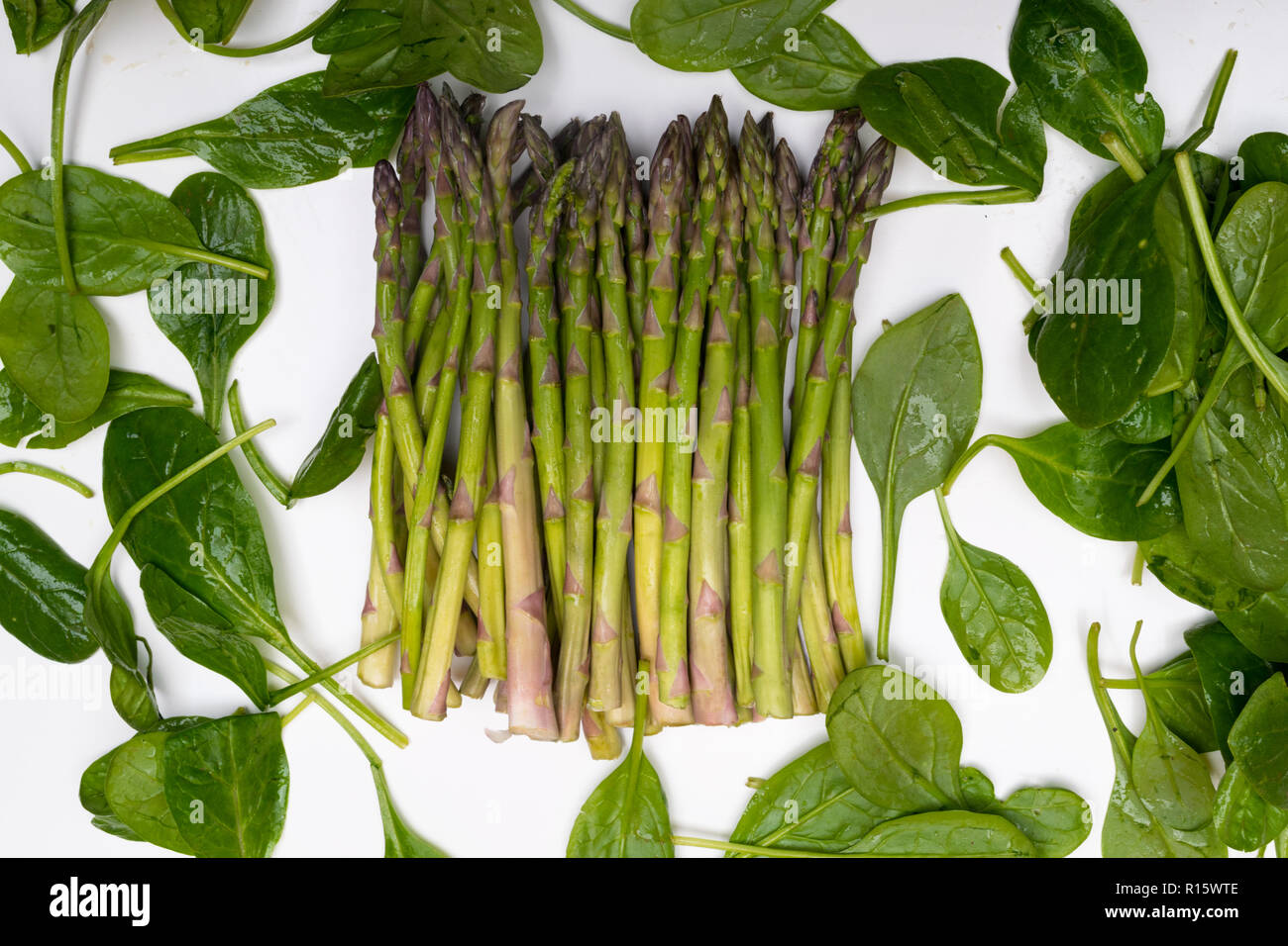 Ihre grünen Spinat und Spargel Essen. Das gesunde Essen. Stockfoto