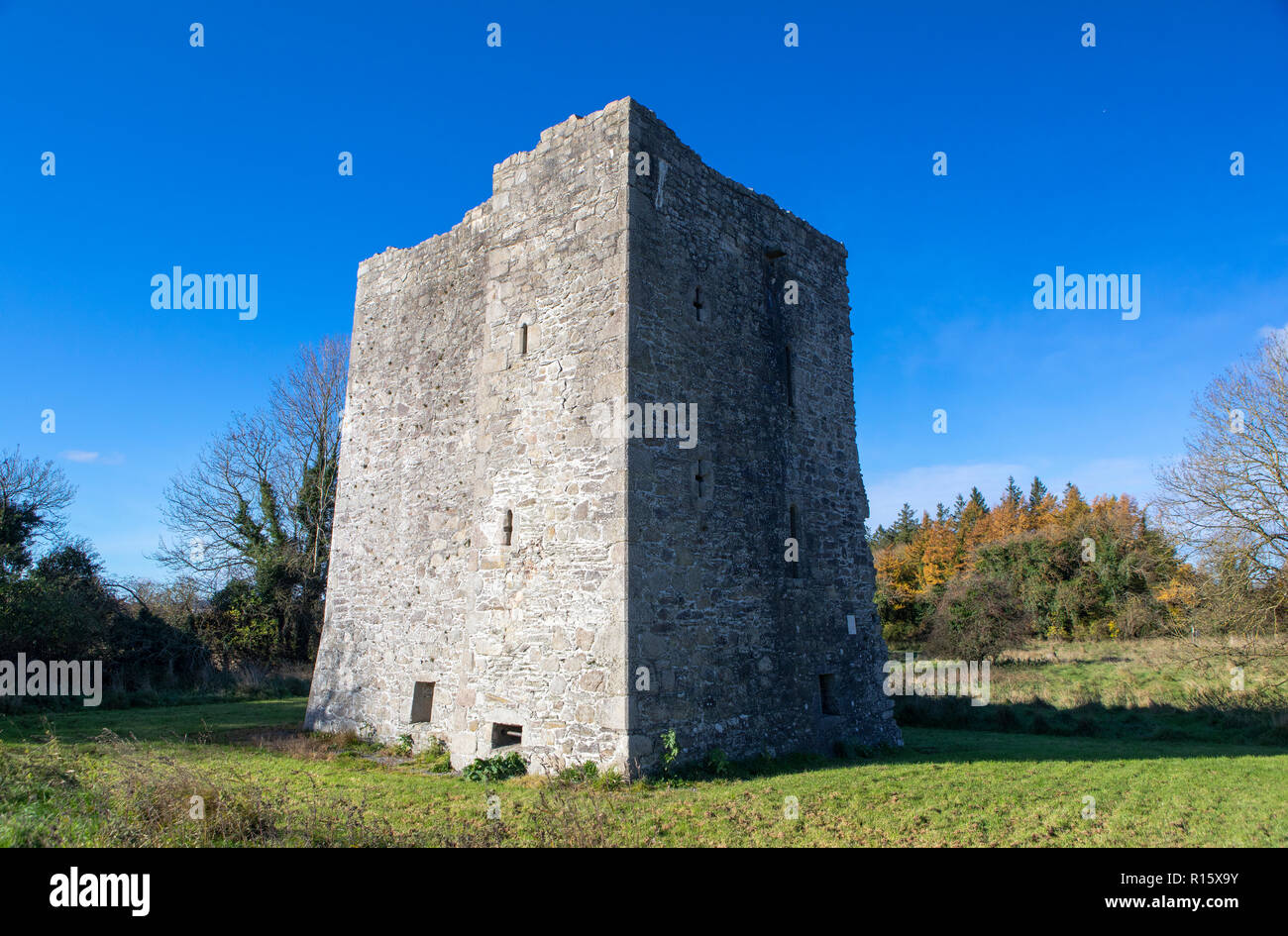 Threecastles Tower House, Blessington, County Wicklow, Irland Stockfoto