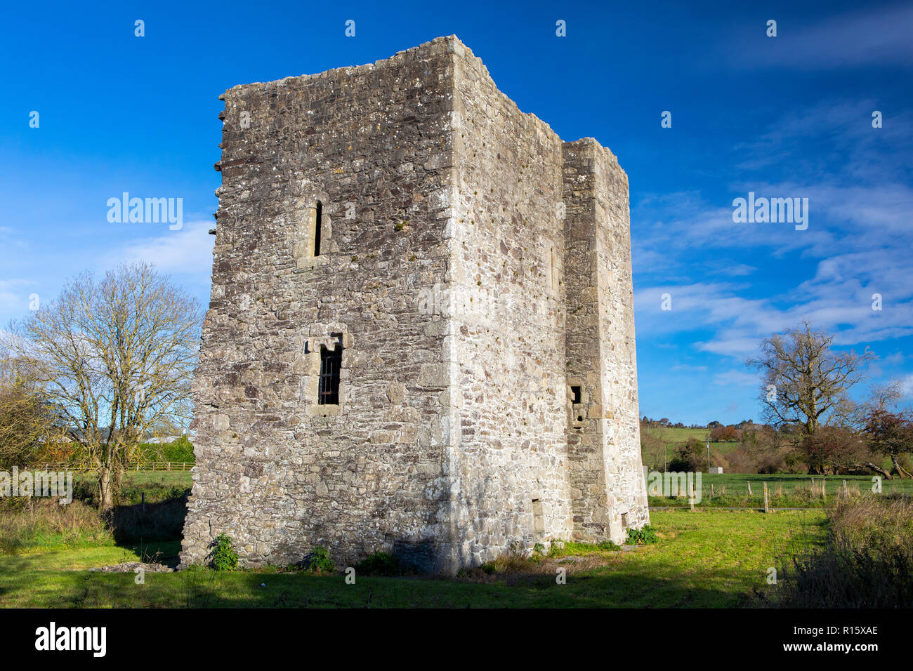 Threecastles Tower House, Blessington, County Wicklow, Irland Stockfoto