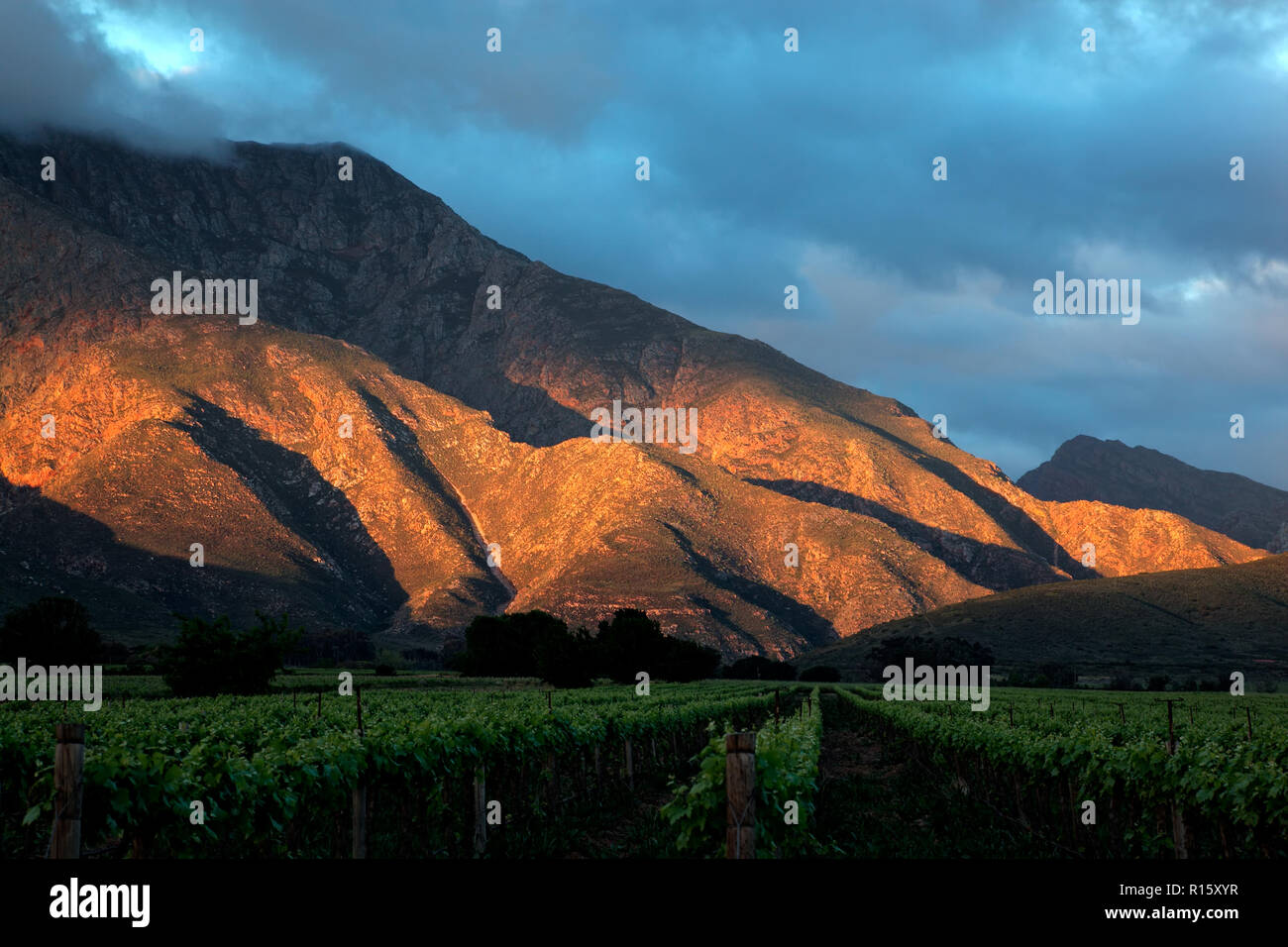 Am späten Nachmittag einen malerischen Berg Landschaft mit Weinbergen, Western Cape, Südafrika Stockfoto