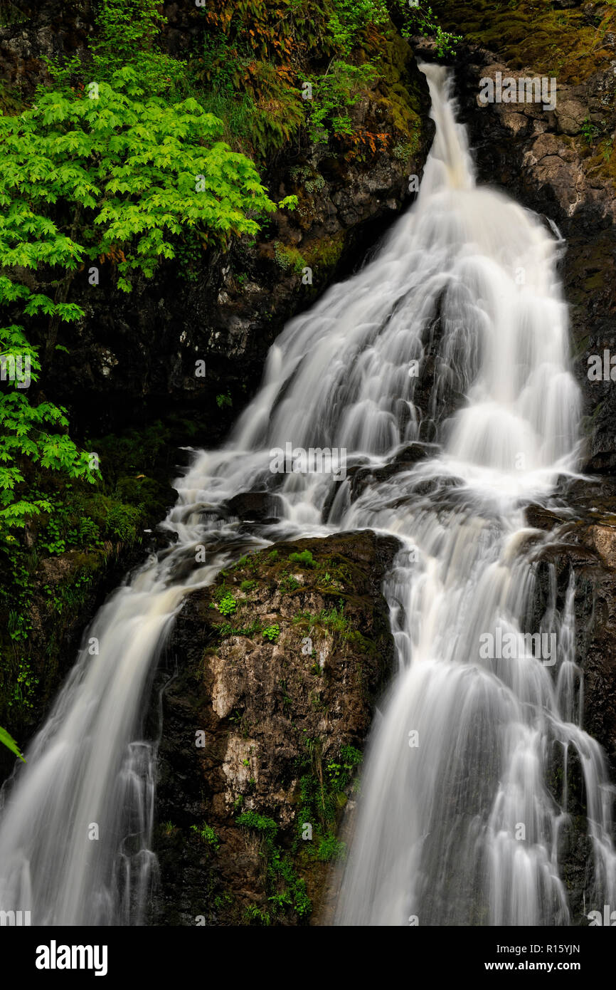 Sitzende Dame Wasserfall auf bilston Creek, Witty Bay erhalten, Metchosin, BC, Kanada Stockfoto