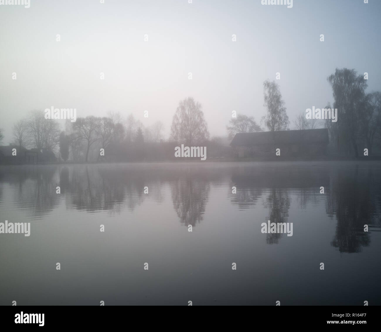 Baum Silhouetten in einem frühen Morgen auf einer Insel im Lakewith einen schweren Nebel im Hintergrund Stockfoto