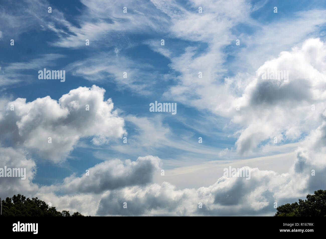 Schön und friedlich weiße Wolken füllen Sie den blauen Himmel nur über der Baumgrenze auf einem hellen klaren Tag Stockfoto