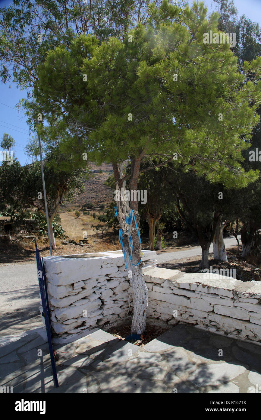 Kea Insel Griechenland Otzias Agios Irini Saint Sozon Kirche Baum mit einem Fischernetz und Jakobsmuscheln Stockfoto