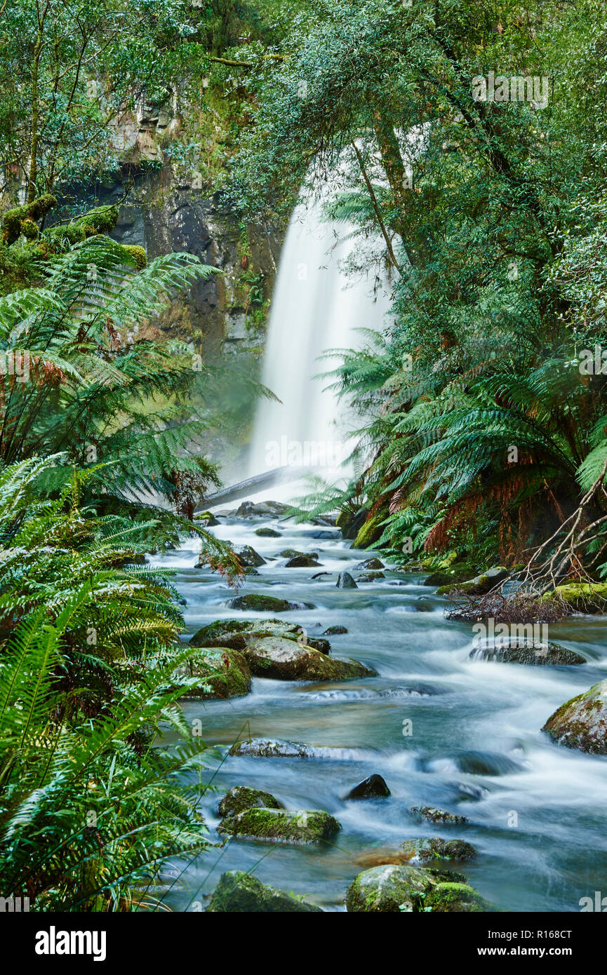 Hopetoun fällt in den Regenwald, Great Otway National Park, Victoria, Australien Stockfoto