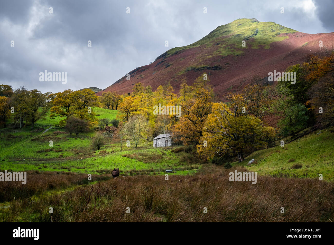 Fotos von der Nördlichen Lake District, Derwent Water, Brandlehow Woods und Lodore Falls, Natur und natürliche Aufnahmen mit Elementen des Menschen. Stockfoto